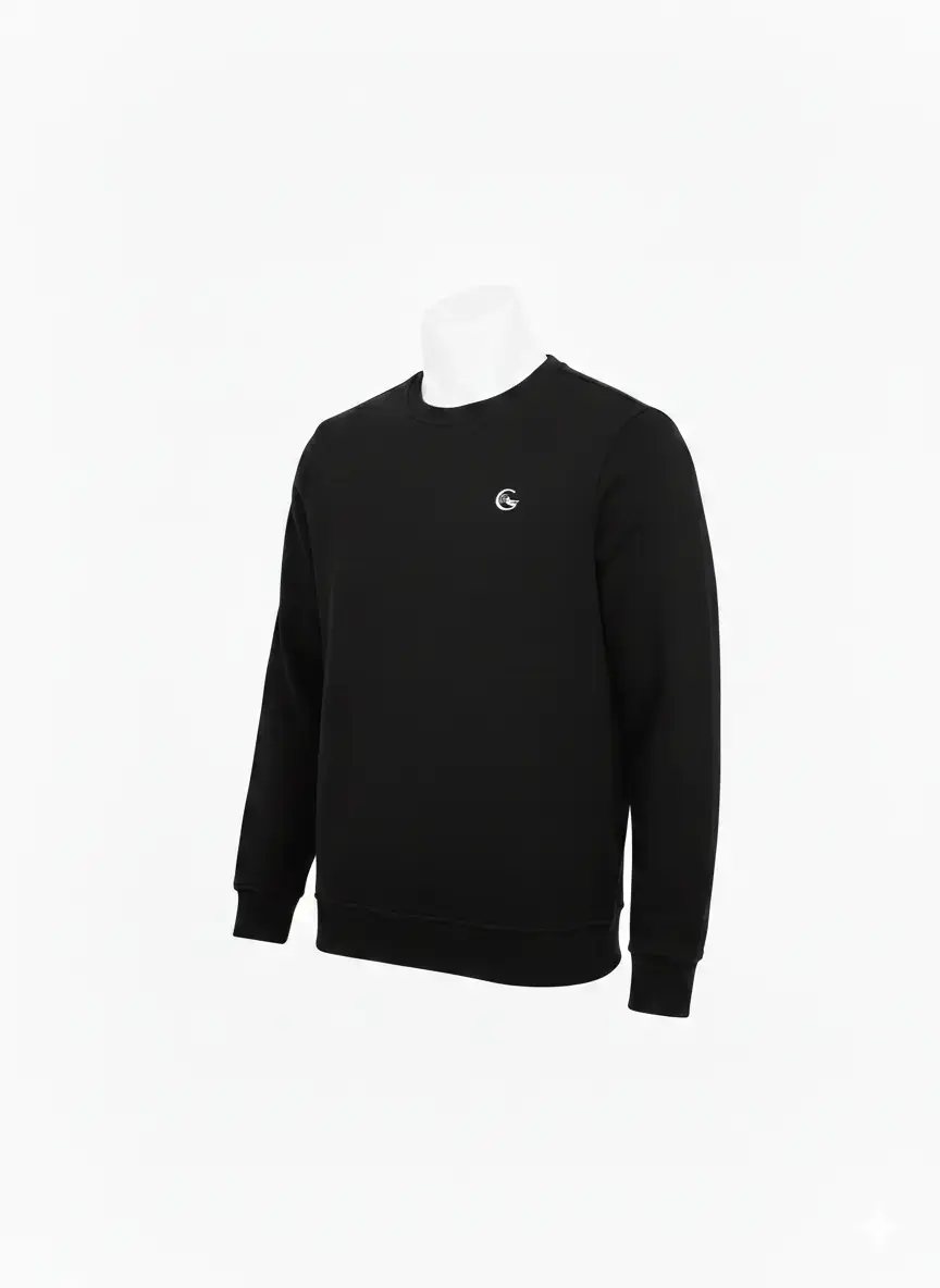 Alec Regular Sweatshirt, Siyah