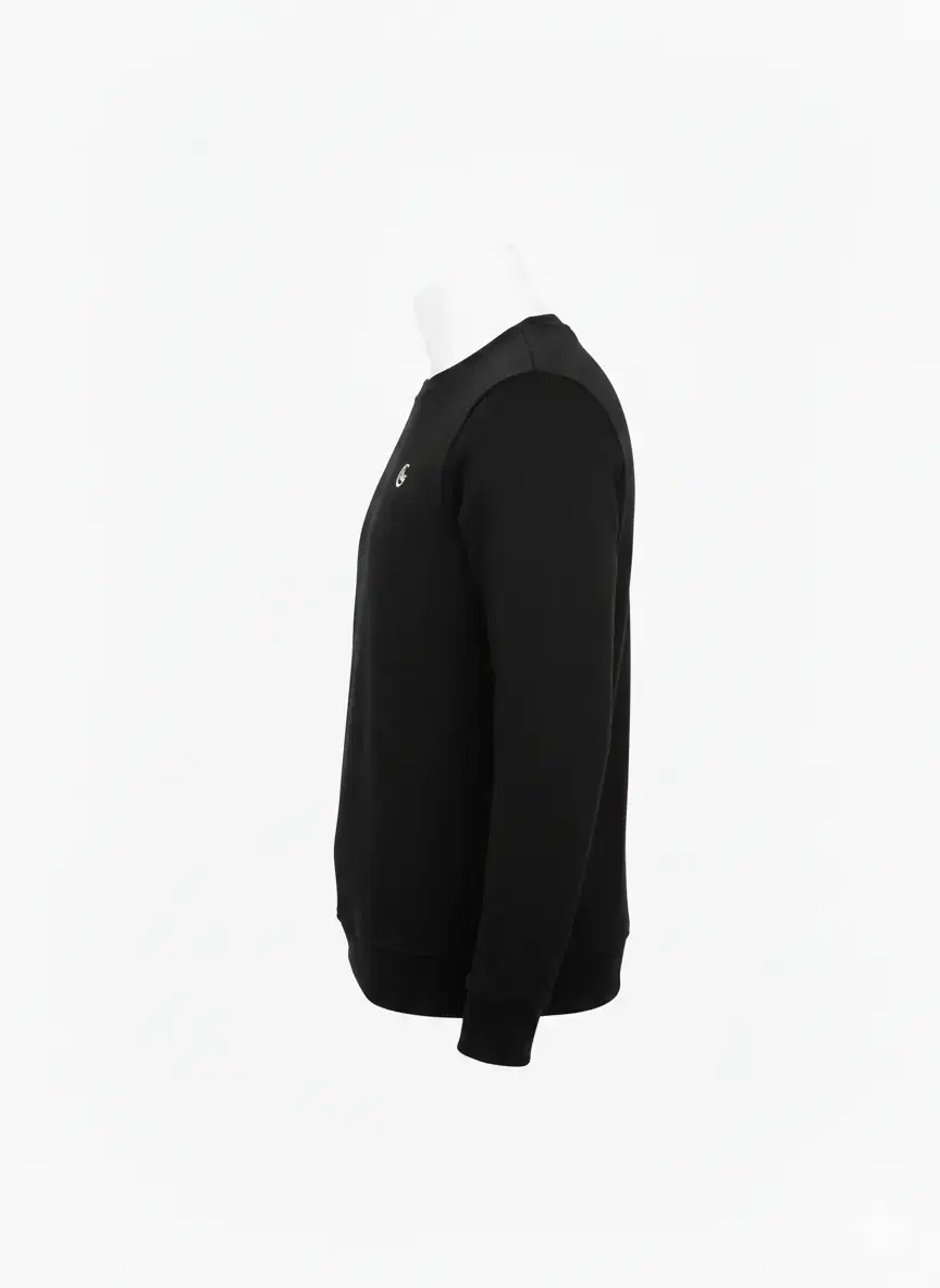 Alec Regular Sweatshirt, Siyah, görsel 3